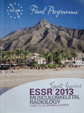 スペインでの学会発表　ESIR2013